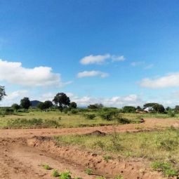 Offa! Viwanja dodoma ( CHAMWINO, NALA, CHAHWA)