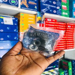 valve springs za boxer na tvs