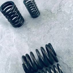 valve springs za boxer na tvs